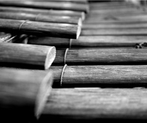 Marimba Fuente flickr1